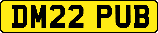 DM22PUB