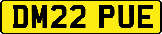 DM22PUE