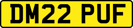 DM22PUF