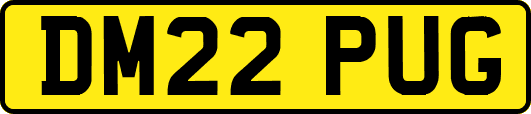 DM22PUG