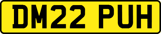 DM22PUH