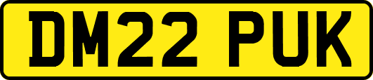 DM22PUK