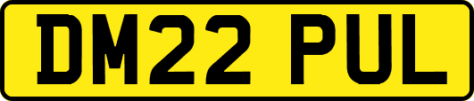 DM22PUL