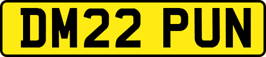 DM22PUN