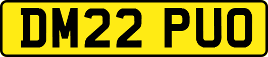 DM22PUO