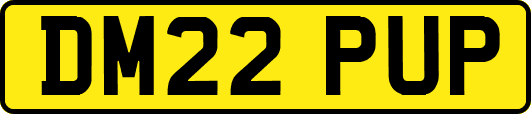DM22PUP
