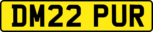 DM22PUR