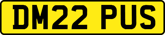 DM22PUS