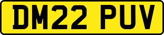 DM22PUV