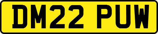 DM22PUW