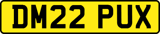 DM22PUX