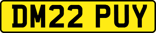DM22PUY