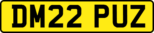 DM22PUZ