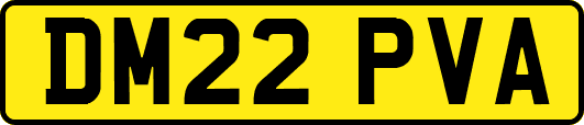 DM22PVA