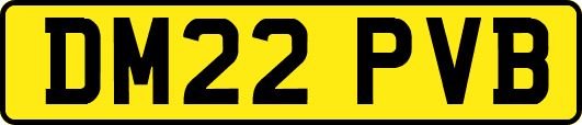 DM22PVB