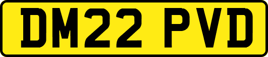 DM22PVD