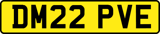 DM22PVE