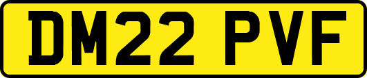 DM22PVF