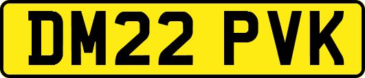 DM22PVK