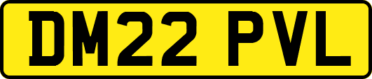 DM22PVL