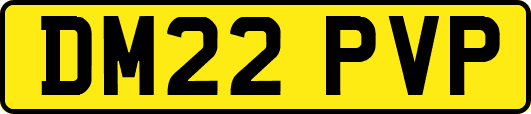 DM22PVP