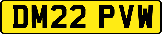 DM22PVW