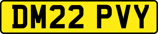 DM22PVY