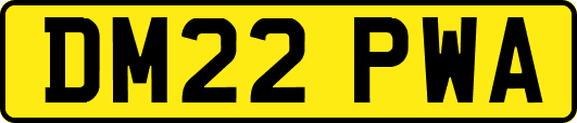 DM22PWA