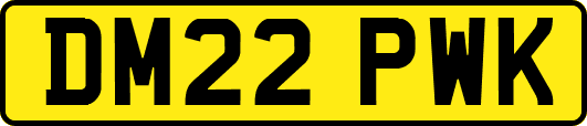 DM22PWK
