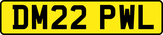 DM22PWL