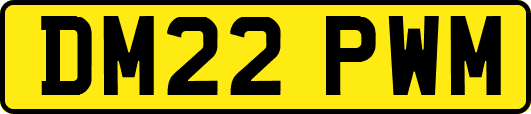 DM22PWM
