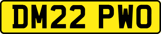 DM22PWO