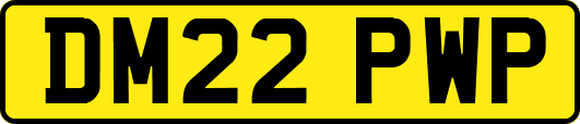 DM22PWP