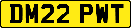 DM22PWT