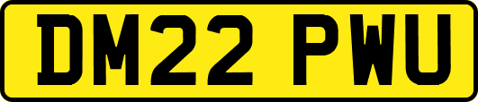 DM22PWU