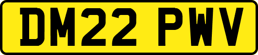 DM22PWV