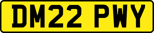 DM22PWY