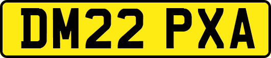 DM22PXA