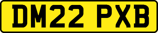DM22PXB