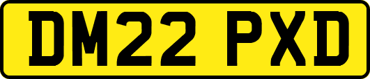 DM22PXD
