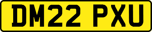 DM22PXU