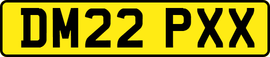 DM22PXX