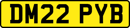 DM22PYB