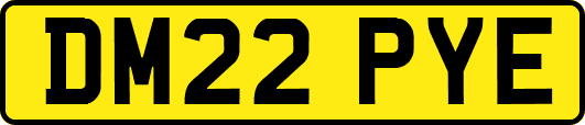 DM22PYE