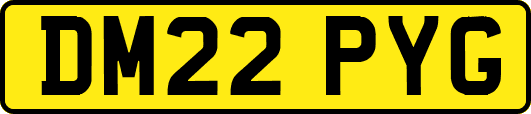 DM22PYG