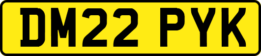 DM22PYK