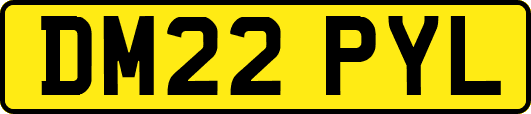 DM22PYL