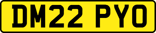 DM22PYO