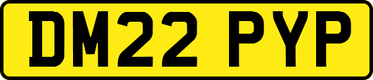 DM22PYP