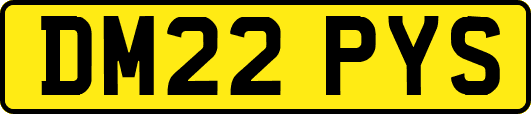 DM22PYS
